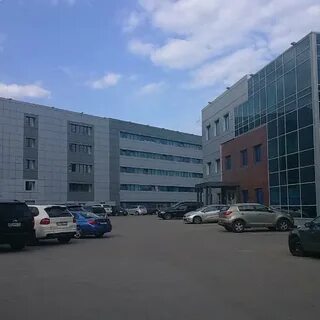 Бц золотая 11