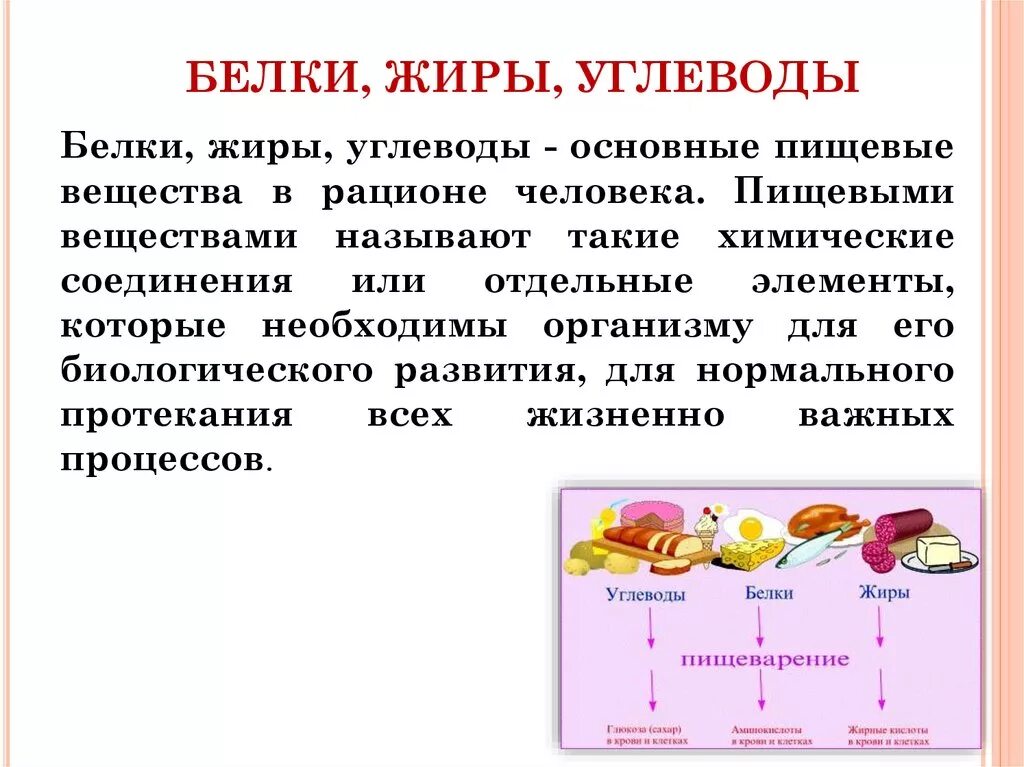 Функции белков жиров и углеводов в организме человека. Роль белков жиров и углеводов в питании. Значение белков жиров и углеводов в организме человека. Главная функция белков жиров и углеводов.