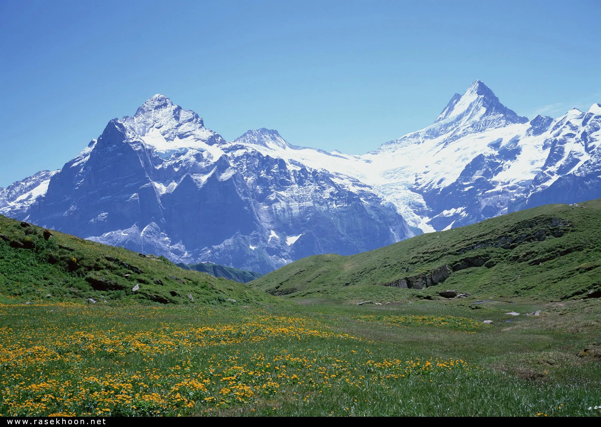 Пик хан тенгри. Прогоры. В горах. Гора гросглокнер австрия. Красивые горы.