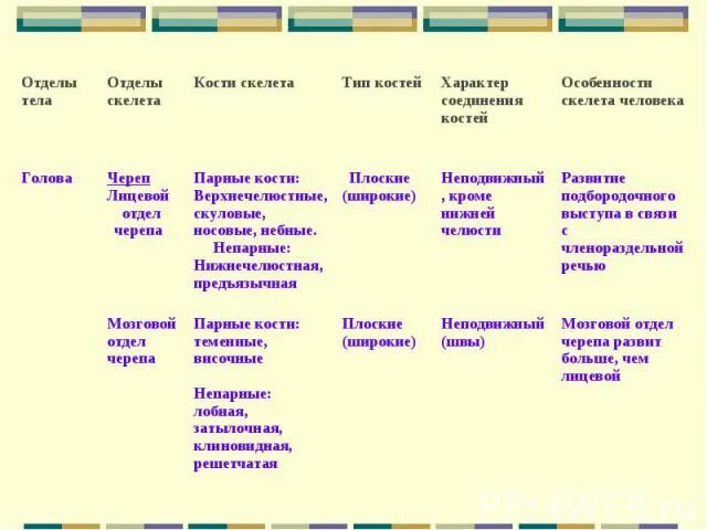 Таблица скелет человека биология 8 класс отделы скелета кости скелета. Таблица скелет головы скелет туловища скелет конечностей. Биология 8 класс таблица отделы тела отделы скелета кости скелета. Скелет головы и туловища таблица.