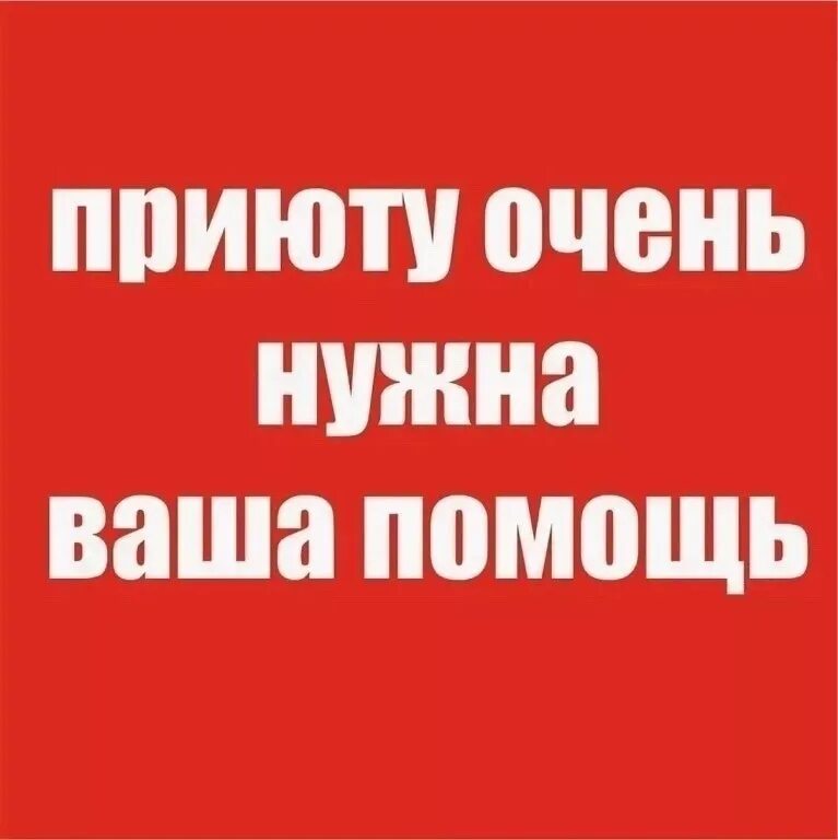 Помогите нужен сайт. Приюту нужна ваша помощь. Приюту нужна помощь. Срочно нужна ваша помощь. Нужна ваша помощь.