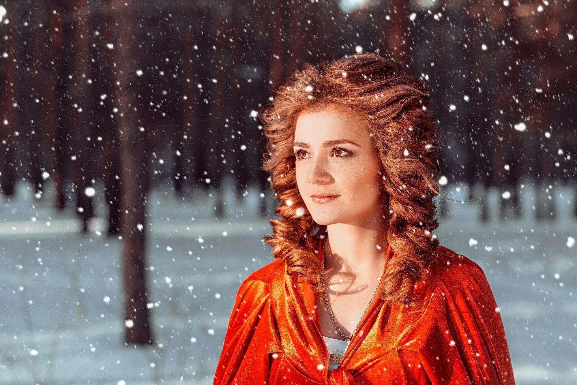 Snow model