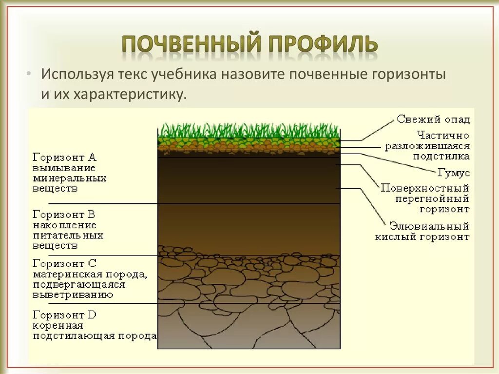 Плодородие почвы кратко 5 класс. Какого строение почвенного профиля. Почвенный Горизонт а1. Почвенный профиль и почвенные горизонты. Строение почвенного профиля почвенные горизонты.