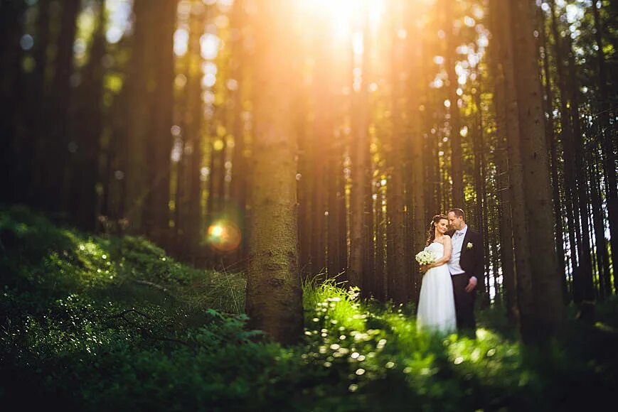 Блики объектива. Съемка с бликами. Блики на черном фоне. Блики прожекторов. Блики от объектива.