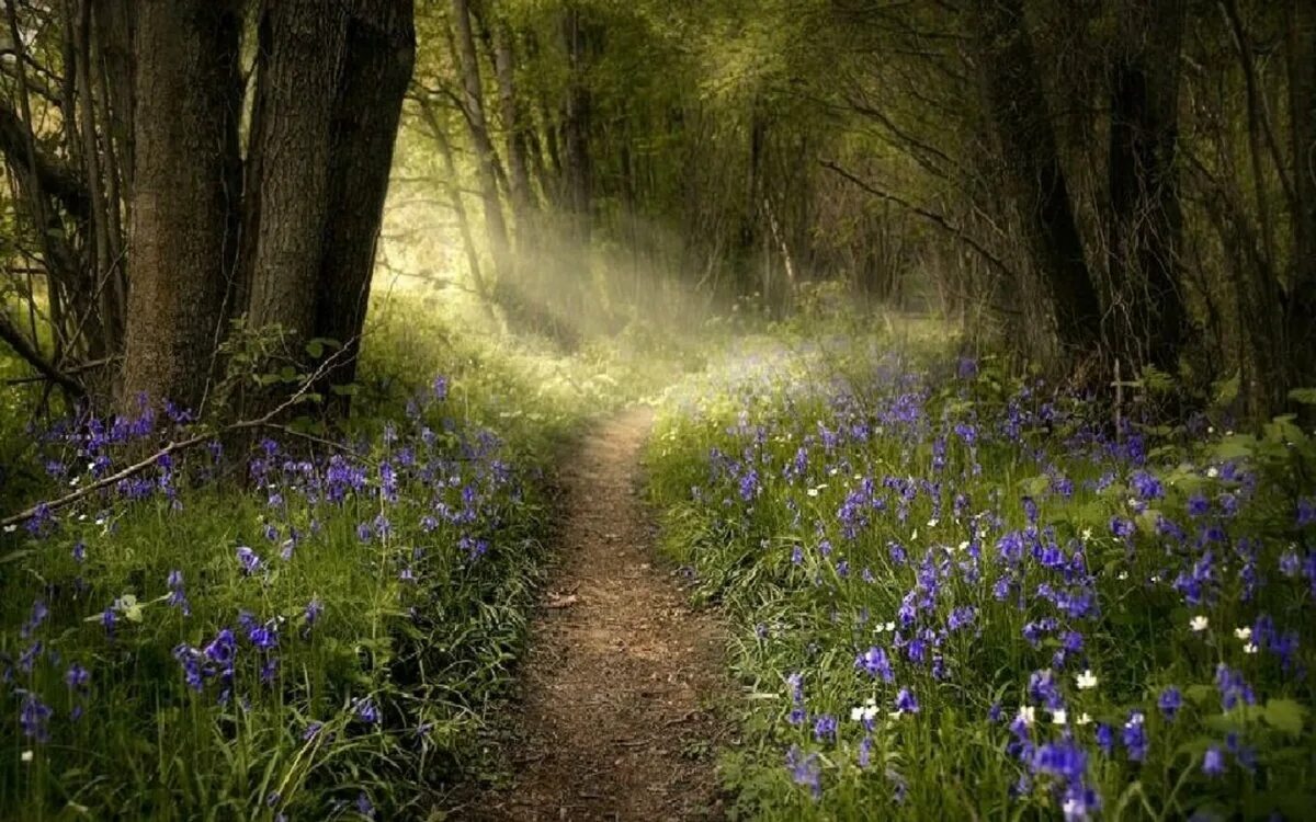 Красивые леса. Весенний лес в живописи. Тропинка в лесу. Весенний лес нейросеть. Весенний лес нейросеть.