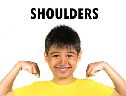 Your shoulders