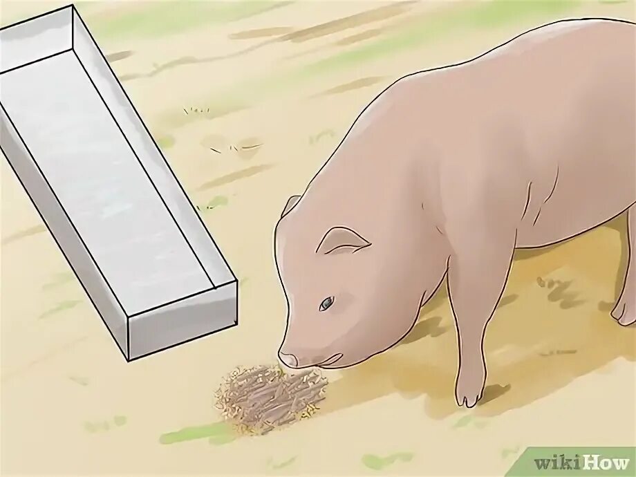 Pig step. Pig step step pig. step pig iam stuck. pig step 1 hour. can we get a pet pig.