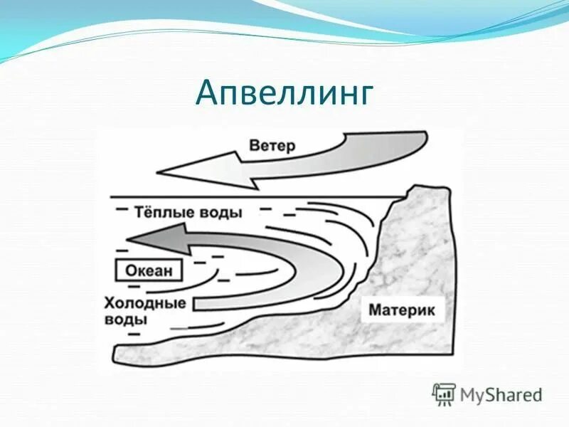 прибрежный апвеллинг. апвеллинг схема. апвеллинг и даунвеллинг. апвеллинг это в геологии. перуанский апвеллинг.