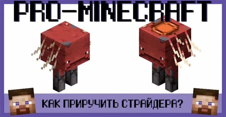 Лавомерка как управлять. Лавомерка в майнкрафт. лавомерка в майнкрафт как приручить. страйдер майнкрафт как приручить. как управлять лавомеркой майнкрафт.