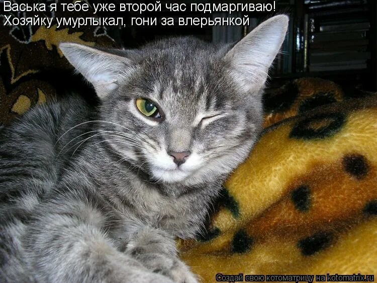 Ты сегодня уже наверно не придешь. Как я тебя узнаю я буду. Жду. С утра выпил весь день свободен картинка. Не пришла картинки.