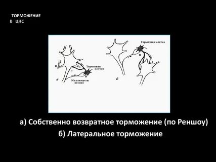 Долбишь по тормозам