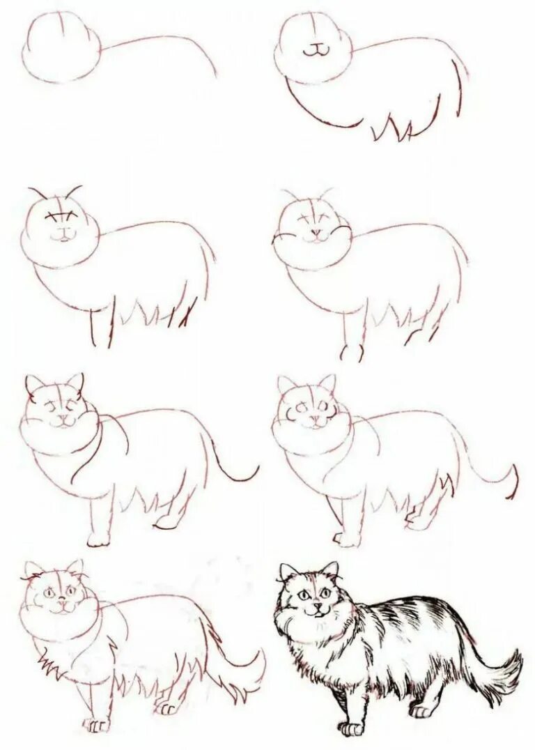 Как нарисовать кота поэтапно для детей. Кошка рисунок. Поэтапное рисование кота. Кошка рисунок карандашом. Рисунок кошки пошагово карандашом.