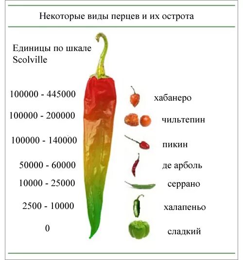 Через сколько выходит перец. Хабанеро перец острота по шкале Сковилла. Острые сорта перца по шкале Сковилла. Таблица СКОВЕЛЕЙ перца. Кайенский перец шкала Сковилла.