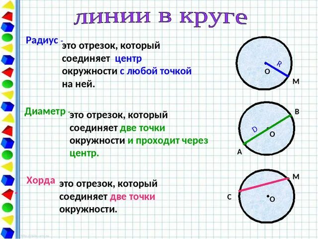 Тема круг окружность 3 класс. Круг окружность центр радиус диаметр 3 класс. Что такое окружность круг диаметр и радиус 5 класс. Радиус диаметр окружность 5 класс правило. Круг и окружность 3 класс математика.