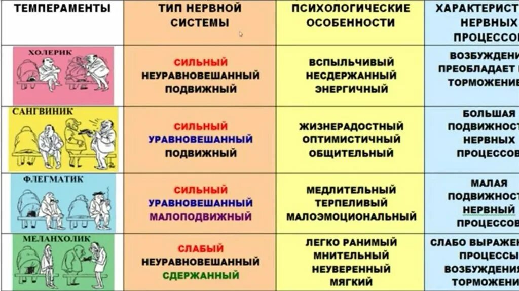 Основные типы темперамента человека. Основные типы темперамента человека