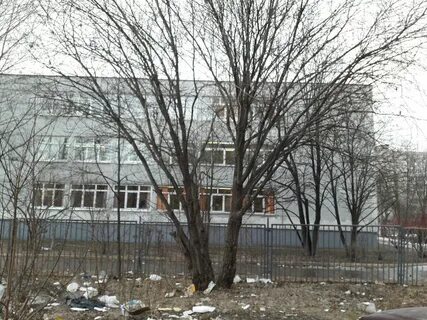 Школа 4 мытищи