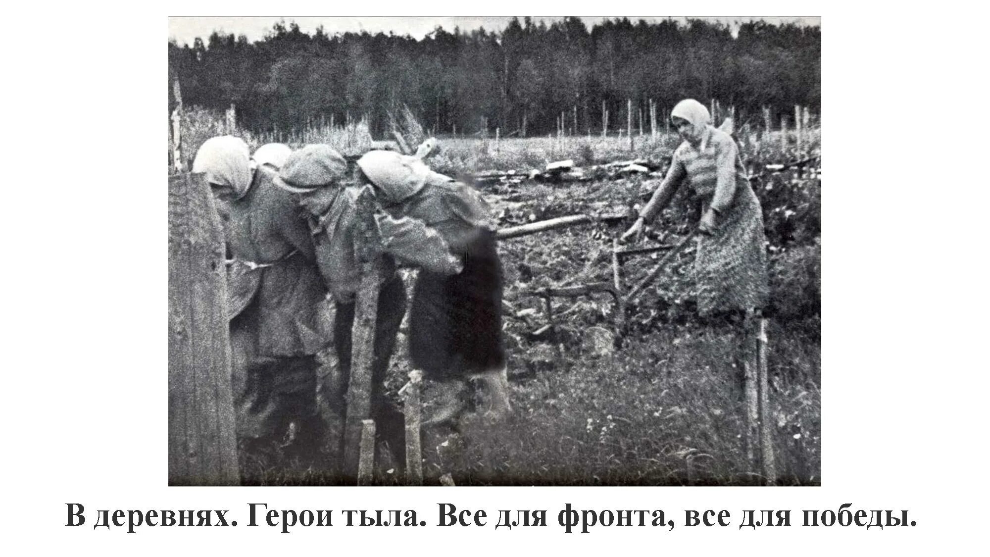 Труженик на дне. Труженик на дне. Дети труженики тыла. Тыл 1941. Дети труженики тыла.