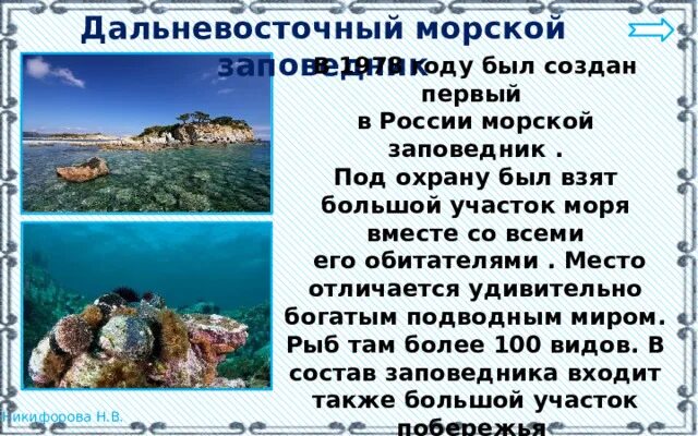 Дальневосточный морской бассейн. Дальневосточный морской бассейн