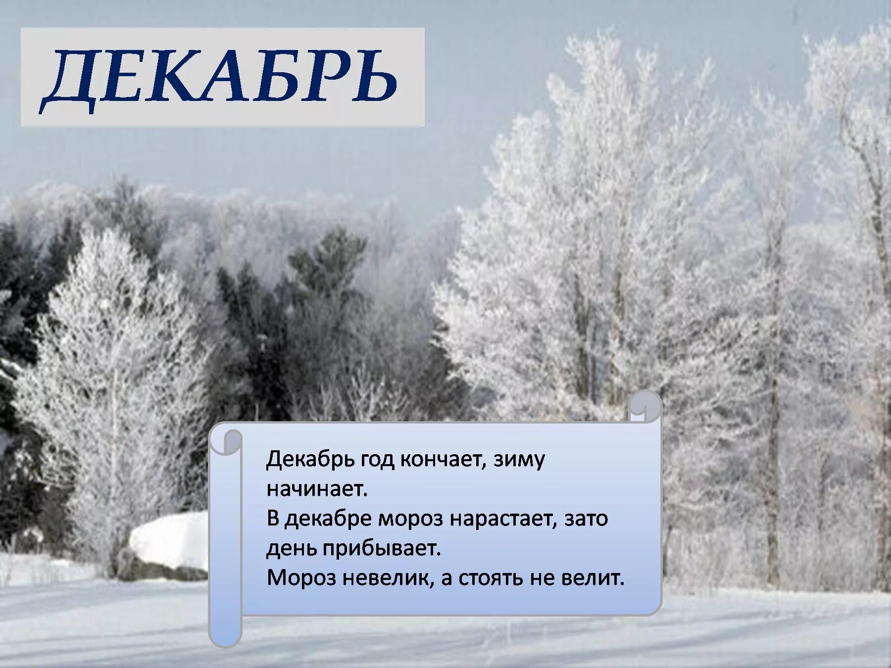 Один раз это было в середине зимы