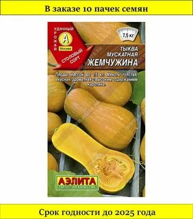 Тыква жемчужина