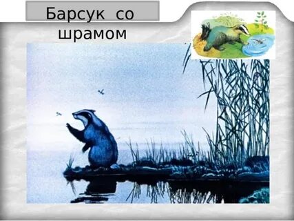 Барсучий нос паустовский главная мысль 3 класс