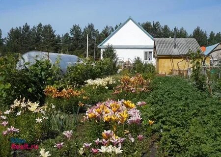 Колташево курганская область