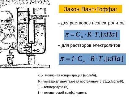 Осмос осмотическое давление закон вант гоффа