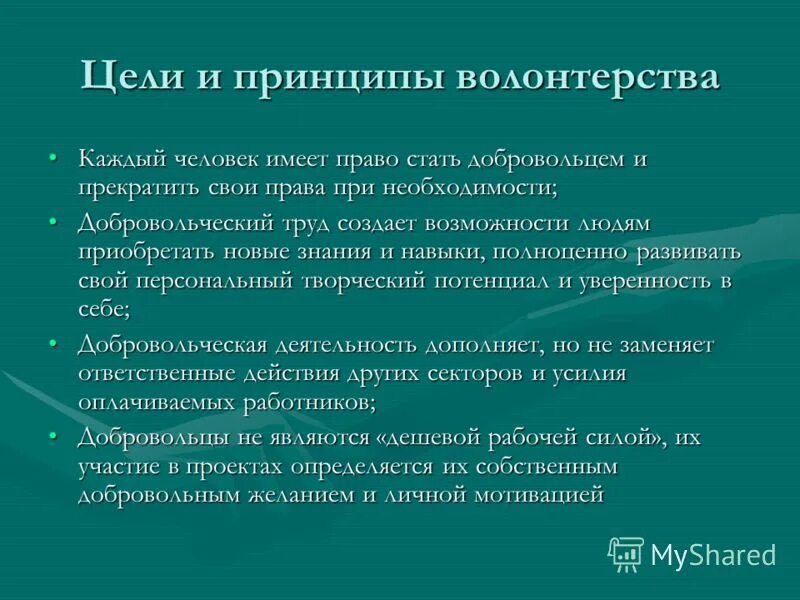 Информация о волонтерской деятельности