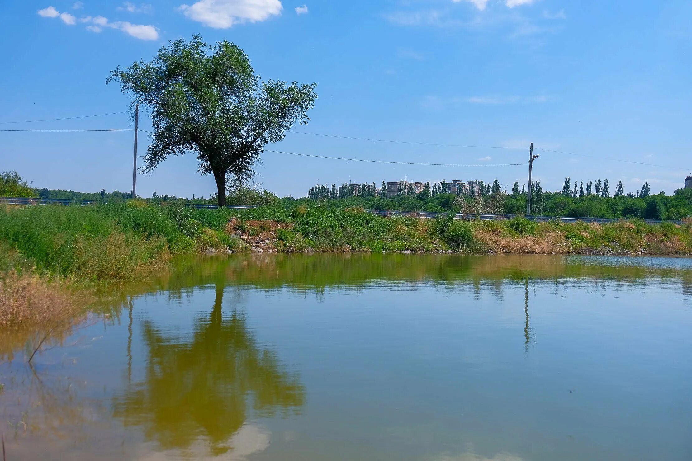 Погода село широкое. Широковский район. Широкое (Широковский район). Село широкое Украина. Широкая дача (Широковский район).