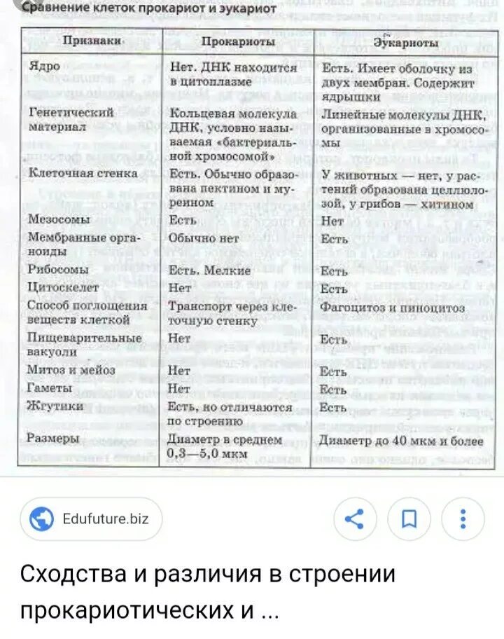 Составить таблицу сравнение клеток прокариотов и эукариотов Экзаменационный билет № 3