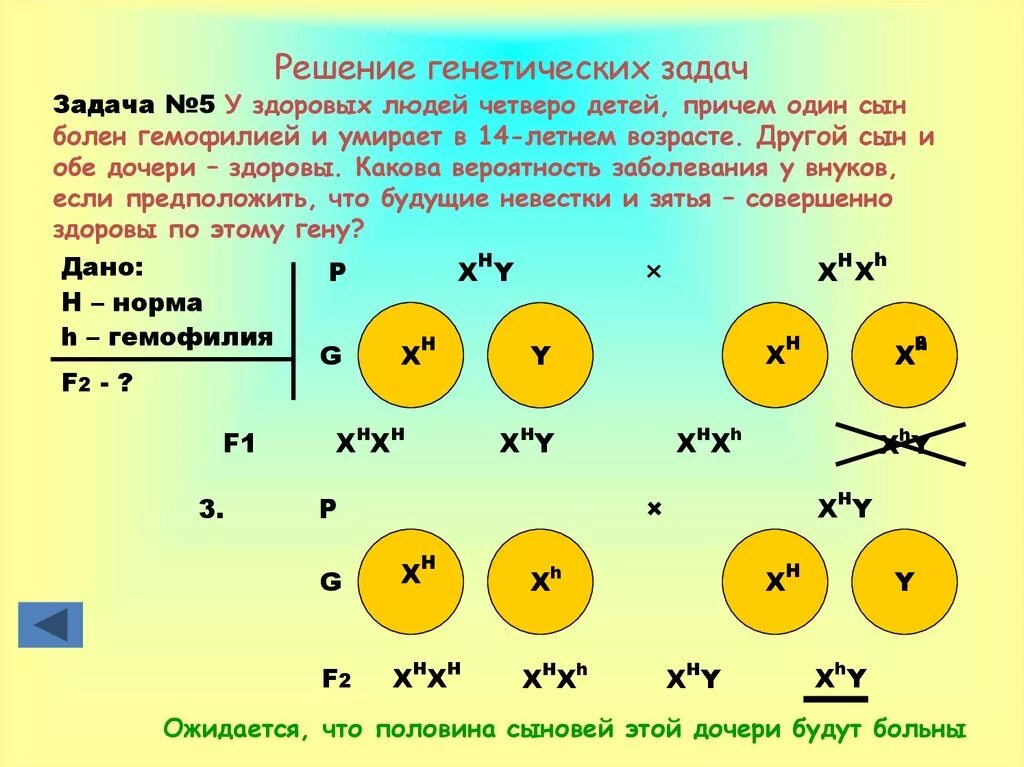 Как решать задачи по биологии по генетике. Решение задач на генетику 9. Алгоритм решения генетических задач по биологии. Как решать задачи в генетике.