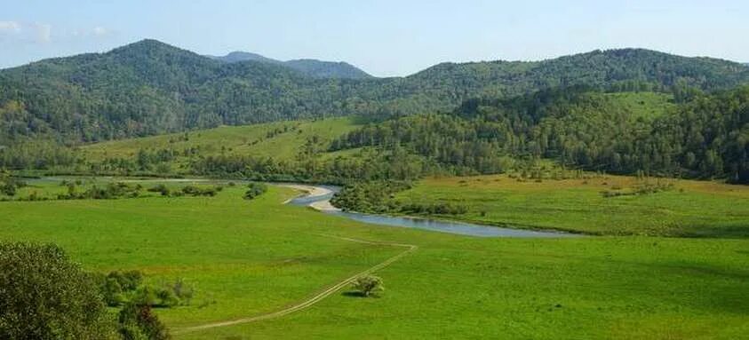 Предгорье сайт смоленского. Алтайский край предгорье. Парк предгорье Алтая. Александровка Солонешенского района Алтайского края. Смоленский район Алтайского края.