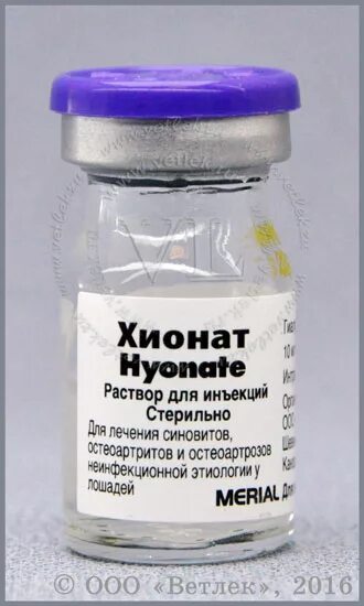 Хионат состав. Хионат для собак. Препарат хионат для собак. Уколы хионат. Хионат байер.