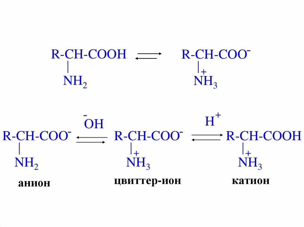 Ch ch ch cooh nh. Образование цвиттер-ионов аминокислот. Цвиттер ионная форма аминокислот. Образование цвиттер Иона аминокислот.