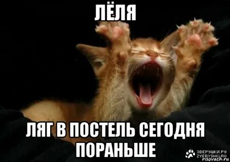 Рингтон лелею