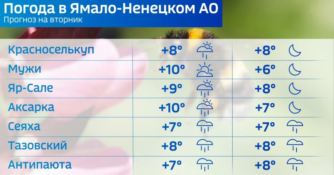 Погода Салехард. Погода в Салехарде на неделю самый точный. Погода салехард рп5 на неделю