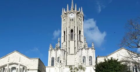 Now university