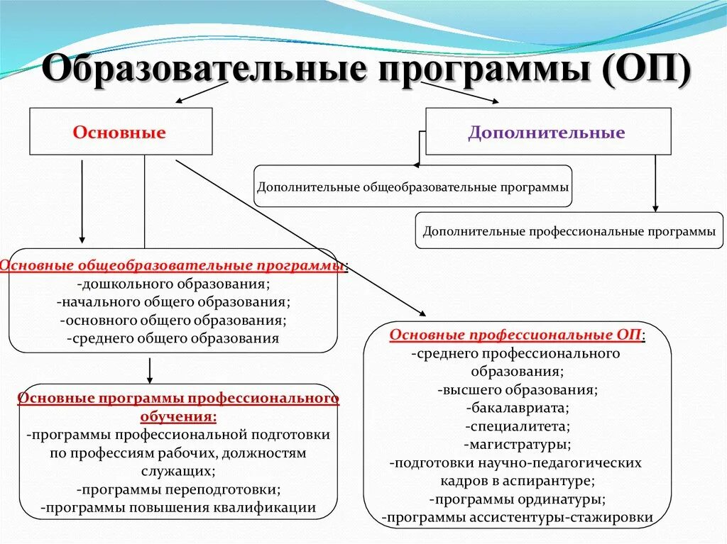 Основные образовательные программы. Образовательные программы основные и дополнительные. Основные общеобразовательные программы. Что такое основные и дополнительные общеобразовательные программы. Главная информация образования