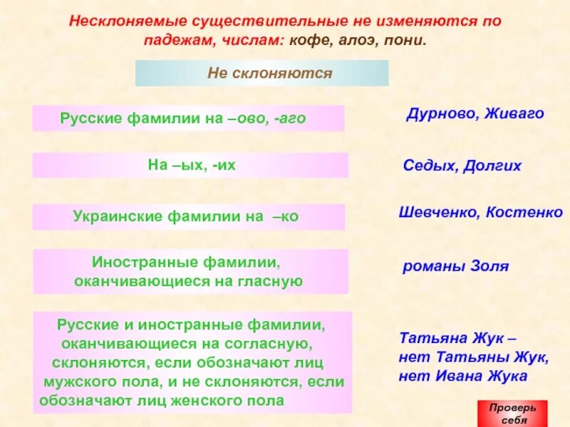 Существительные не изменяющиеся по падежам. Несклоняемые имена существительные. Не слоняемы существительные. Несклонеюшие имена скуш.