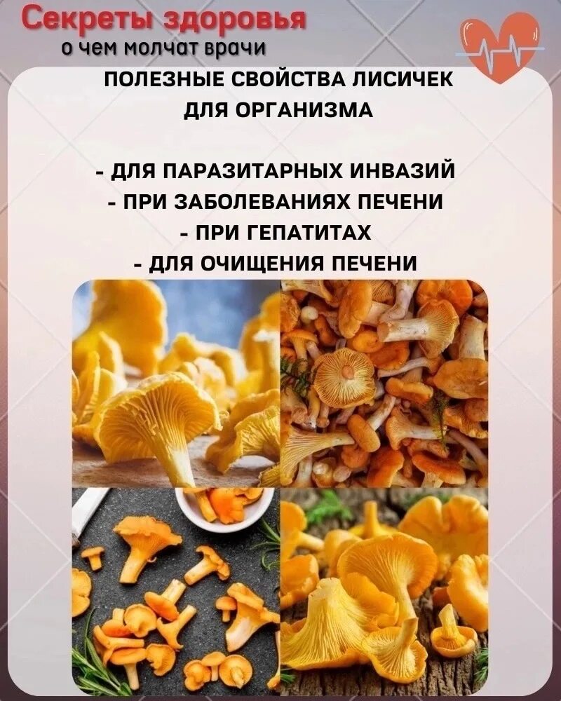 Чем полезен грибы лисички для организма человека. Осенние лисички грибы. Чем полезен грибы лисички для организма человека. Чем полезен грибы лисички для организма человека. Лисички грибы дома.