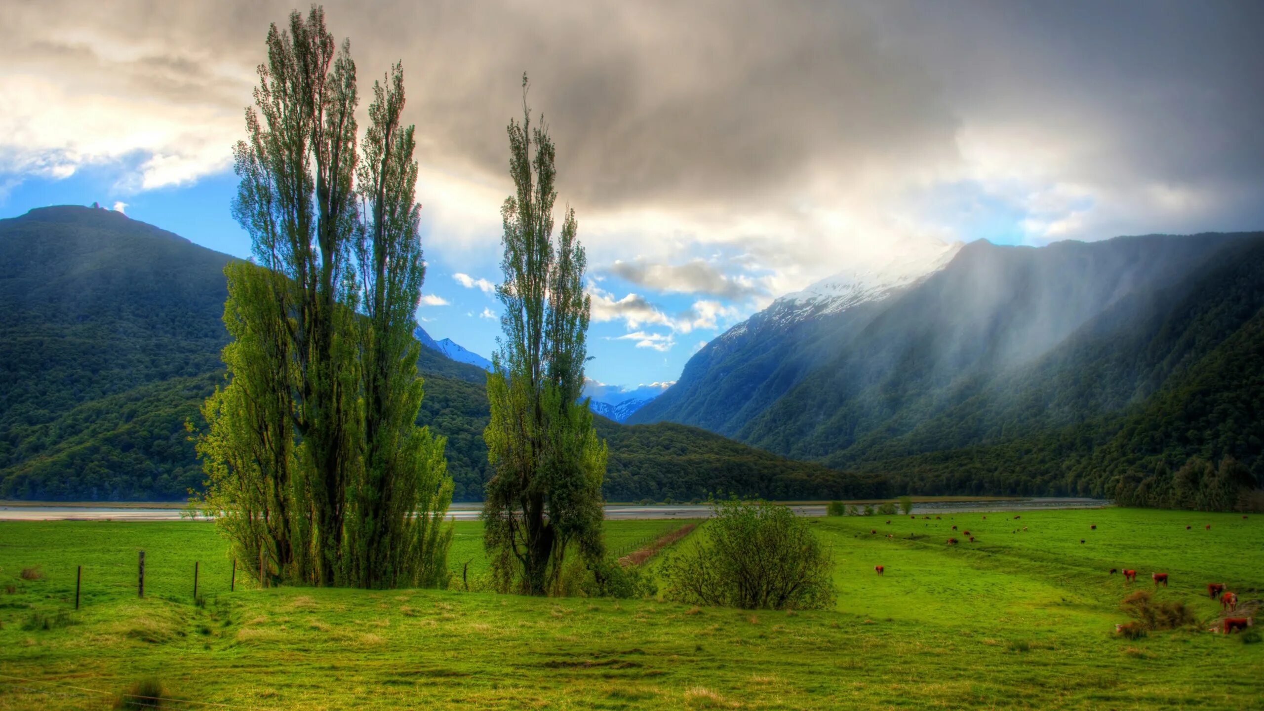 Изображение природы. Природа новой Зеландии горы. Новая Зеландия Луга. Уймонская Долина. Новозеландия природа.