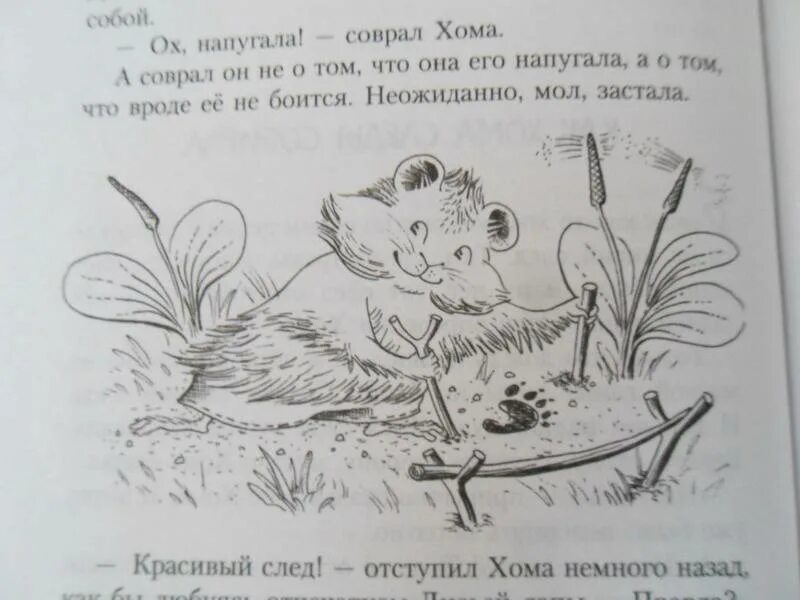 Хома ю ю. Хома и суслик раскраска. сказка про хомяка и суслика.