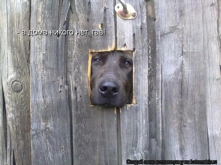 никого нет дома. кто крайний. видео дома никого нет. никого нет дома картинка. видео дома никого нет.