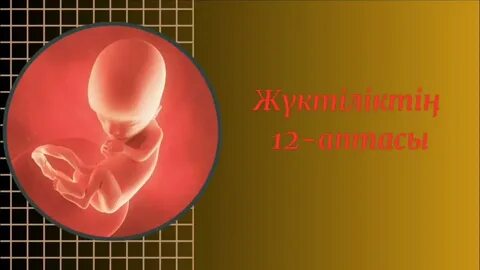 Жүктіліктің 11 аптасындағы жыныстық позициялар