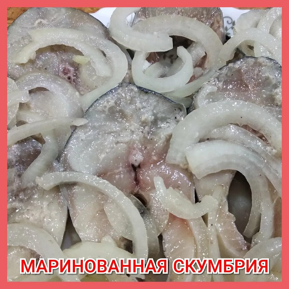 Скумбрия с луком маринованная. Скумбрия пальчики оближешь. Скумбрия соленая с луком. Скумбрия с маринованным луком. Быстро замариновать скумбрию с луком