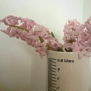 Эстетик февраль