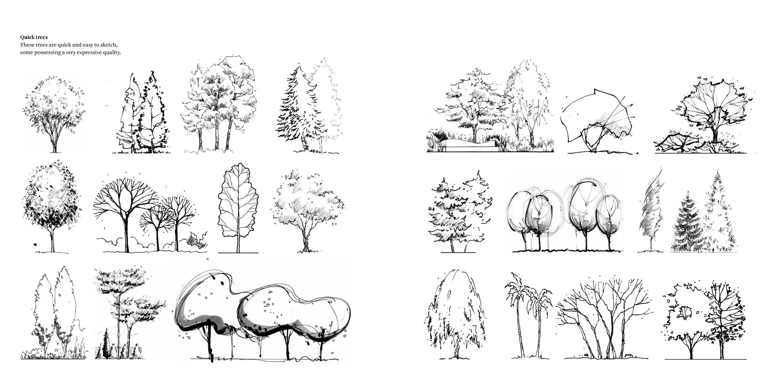 Дерево чертеж. Антураж лиственные и хвойные Графика ландшафт. Стаффаж антураж деревья кусты. Архитектурная Графика антураж и стаффаж. Черчение стаффаж и антураж деревья.