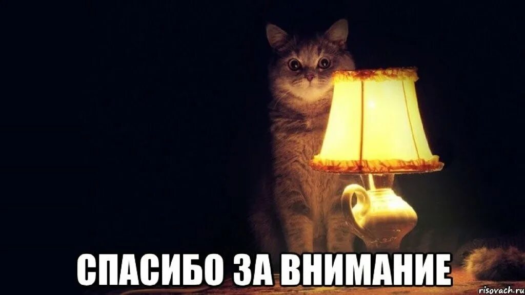 Не обратить внимания например в. Не обратить внимания например в