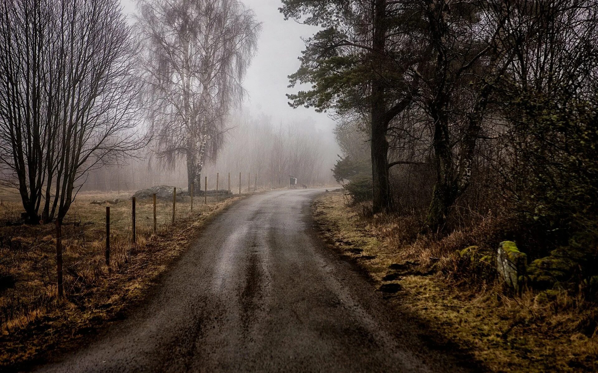 тучи перед дождем. поле пасмурно. поставь пасмурный. хмурая осень. пасмурная погода.