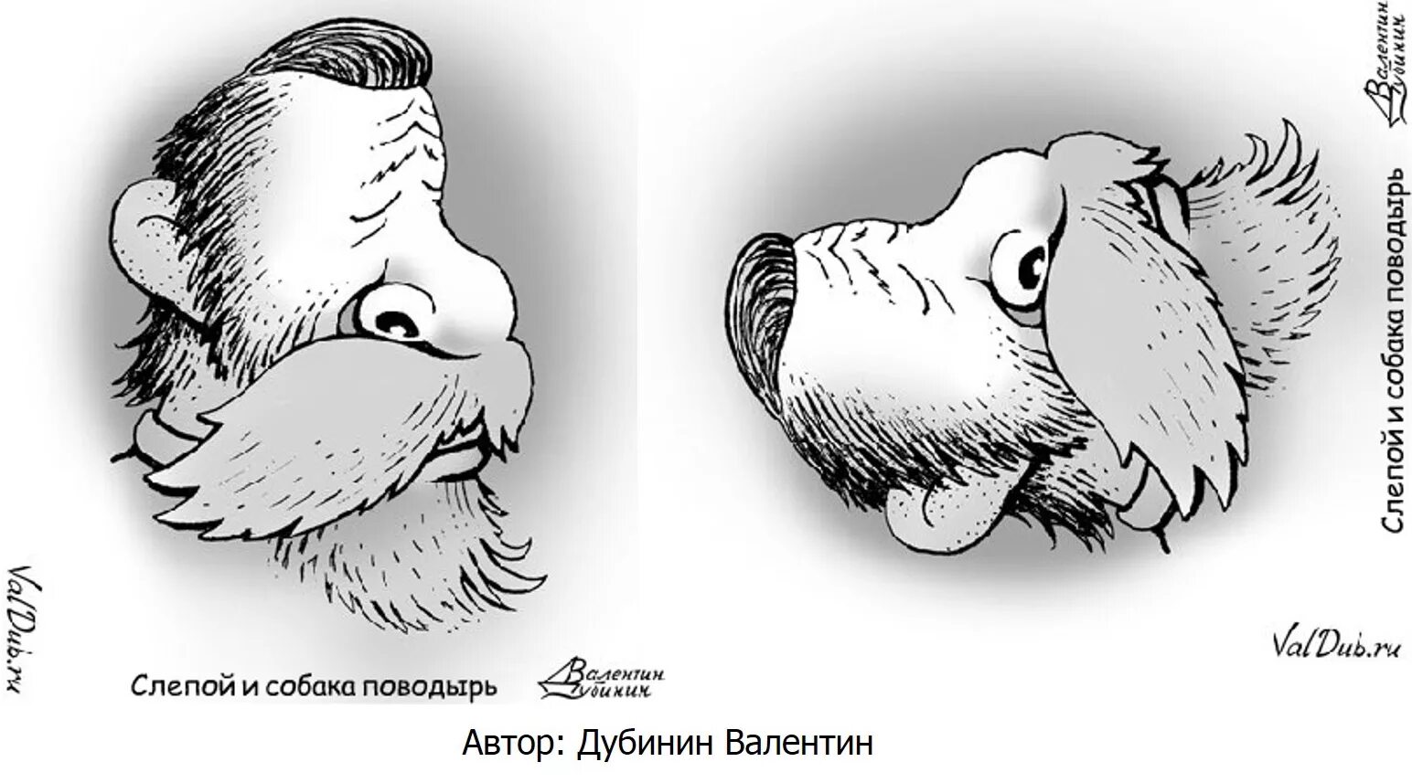 Как называется перевертыш. Иллюзии перевертыши. зрительные иллюзии для детей. рисунки перевертыши для детей.
